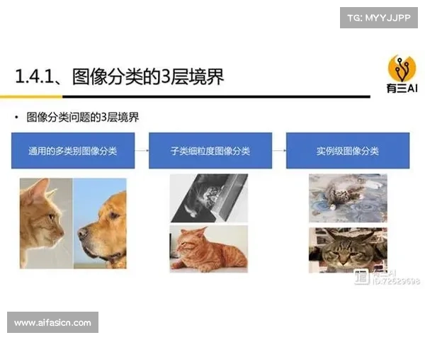 最后神迹新手必看成长攻略从基础到进阶全方位解析 最后神迹新手必看成长攻略从基础到进阶全方位解析
