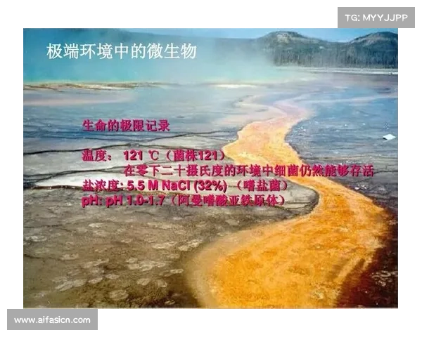 烈焰中探索的实用方法与技巧:如何在极端环境下确保安全与效率 烈焰中探索的实用方法与技巧:如何在极端环境下确保安全与效率